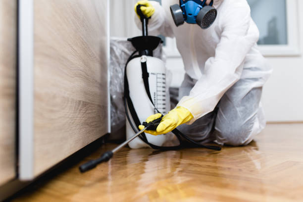 Best Rat Extermination Near Me  in Ome, GA