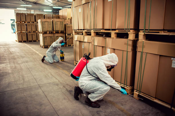 Best Local Pest Control Services  in Ome, GA