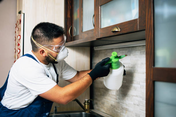 Best Best Pest Control Companies  in Ome, GA