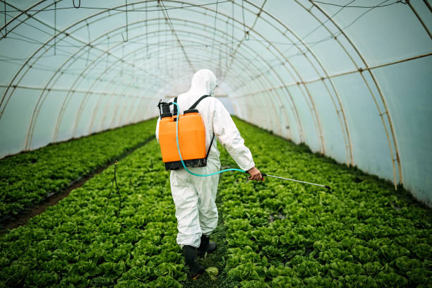 Best Residential Pest Control  in Ome, GA