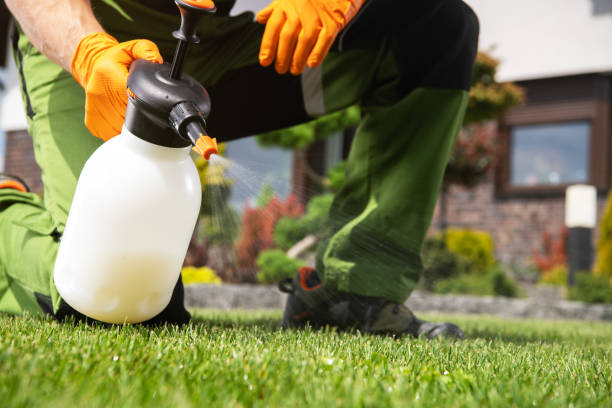 Best Commercial Pest Control Services  in Ome, GA