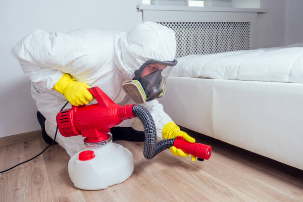 Best Exterminator Services  in Ome, GA
