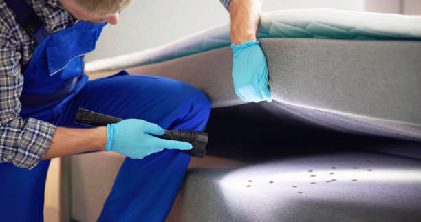 Best Best Pest Control Companies  in Ome, GA