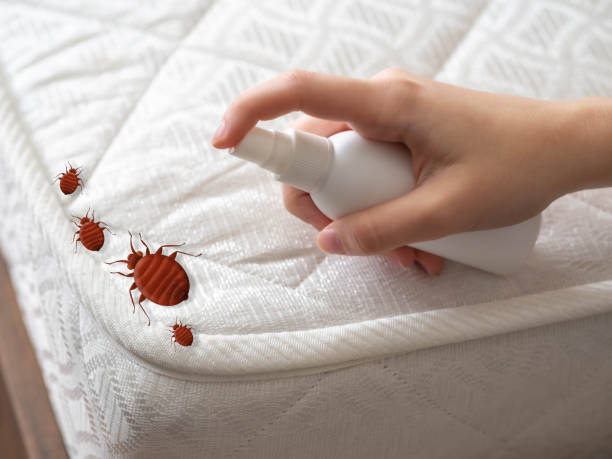 Best Cockroach Control Services  in Ome, GA
