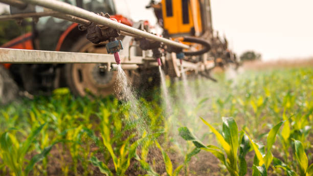 Best Commercial Pest Control Services  in Ome, GA