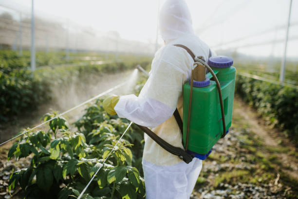 Best Commercial Pest Control Services  in Ome, GA